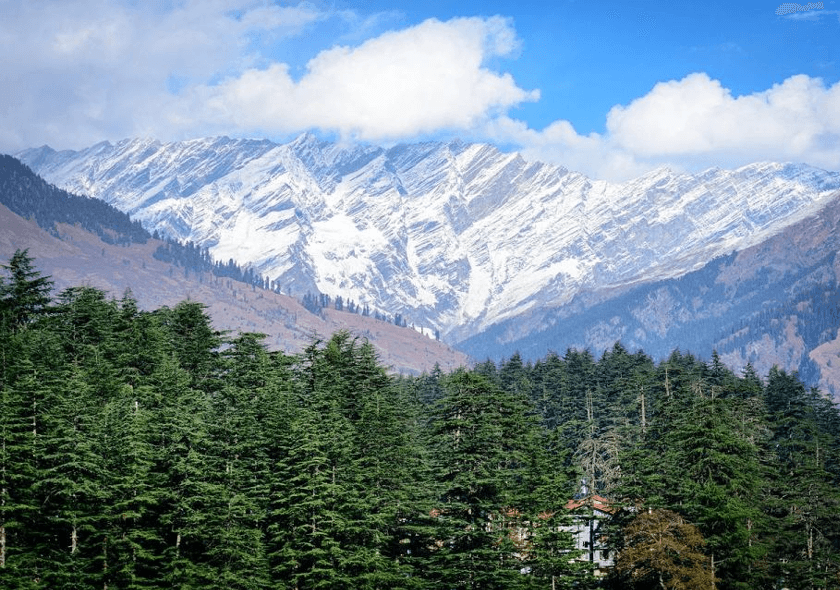 Manali: Full day Driver Guide Tour