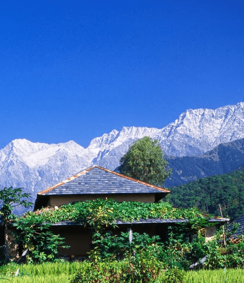 Palampur