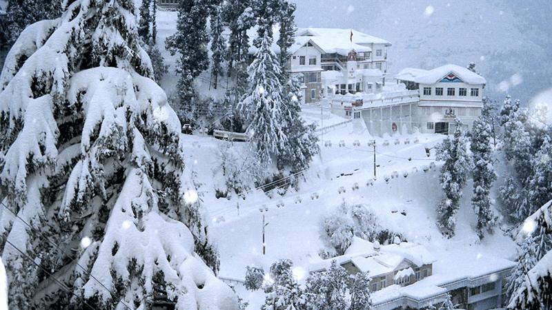 Shimla